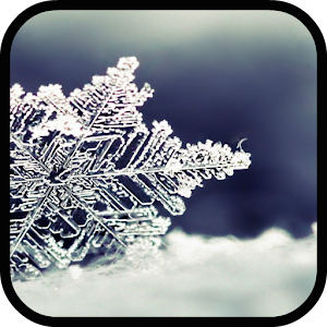 Snow Live Wallpaper.apk 1.0