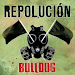 Bulldog Repolucion Novedad
