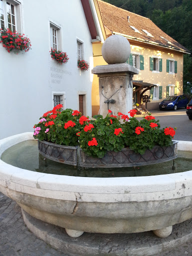 Bürgerbrunnen Mit Blumen
