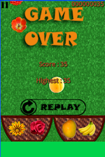 How to install Fruits and Flowers 1.07 apk for laptop