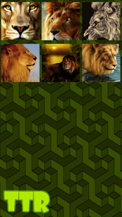 How to install Lion Sliding Puzzle lastet apk for android