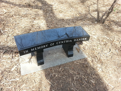 In Memory of Cynthia Hansen Bench