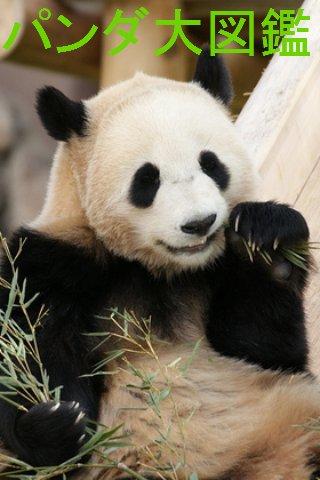 【免費攝影App】Panda World-APP點子