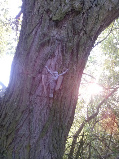 Jesus on a Tree