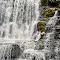 DSC_6112.jpg
