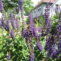 Discovery - Kansas Children's Discovery Center 