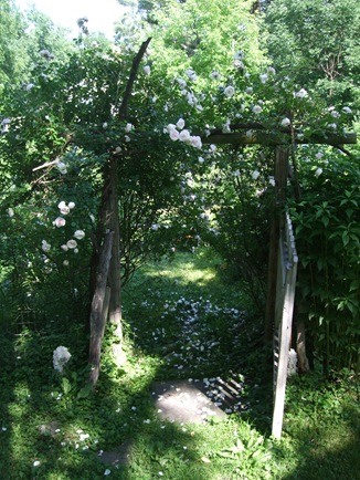 June 19 Second Garden 1