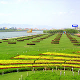 汾河公园Fenhe Park