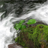 河南重渡沟Chongdu River Henan
