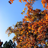 香山公园 Xiangshan Park