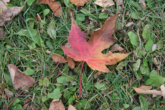 [2008.10.26_8187[3].jpg]