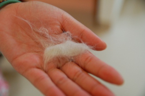 [20080927 033[3].jpg]