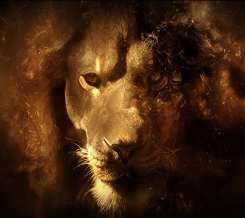 How to install Lion King LWP 1.0 apk for bluestacks