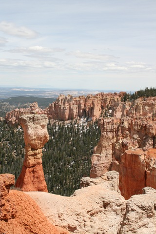 [IMG_31965.jpg]