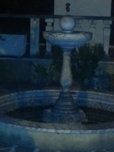 Fontana Erika