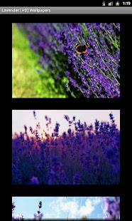 How to download Lavender [HD] Wallpapers 1.0 unlimited apk for laptop