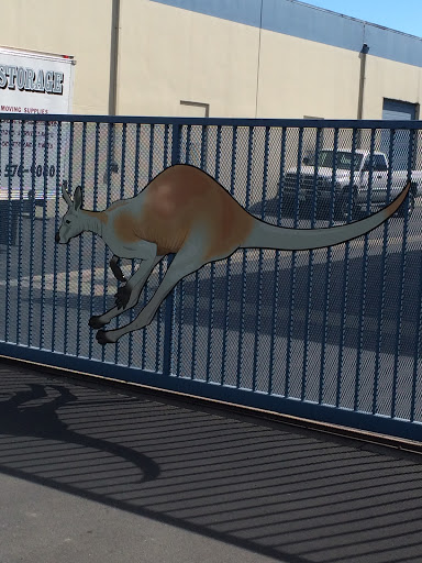 Hopper Kangaroo