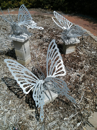 River Plantation Butterflies