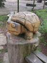 Schildkröte im Tierpark