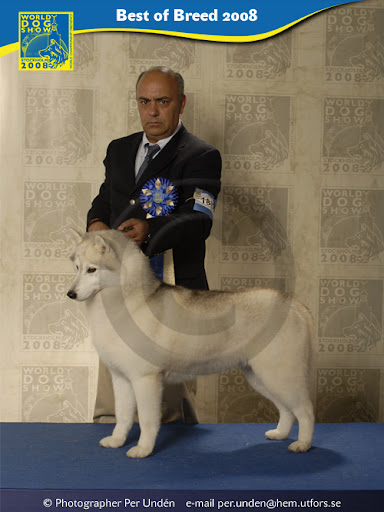 Качена снимка