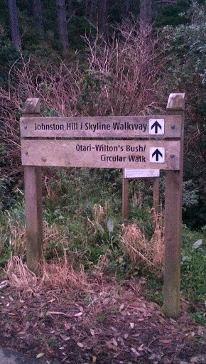 Johnston Hill Reserve Walk