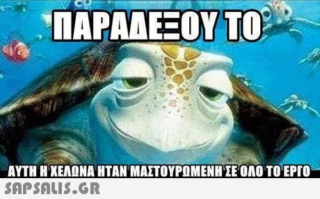 NAPAAEEOY TO ΑΥΤΗ Η ΧΕΛΩΝΑ ΗΤΑΝ ΜΑΣΤΟΥΡΩΜΕΝΗΣΕ ΟΛΟ ΤΟ ΕΡΓΟ 