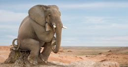 elefante pensando