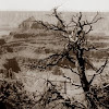 Deadwood