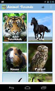 How to download Animal Family Sounds lastet apk for laptop