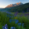 Gunnison Natl Forrest CoRd317.jpg