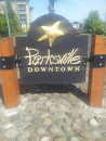 Parksville Downtown