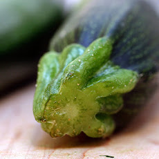 Zucchini Bread