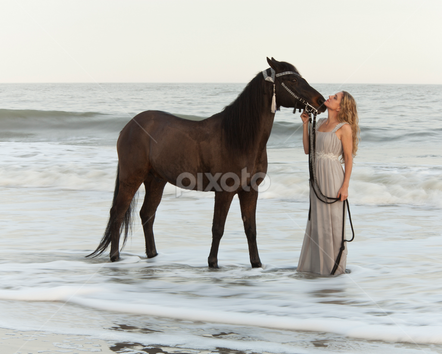 Woman In Wedding Dress With Horse Bride Wedding Pixoto