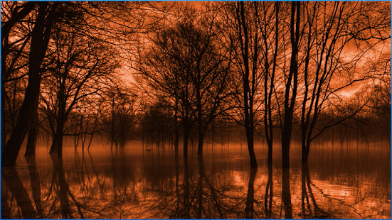 How to install Earth Wallpapers 6.1 unlimited apk for android