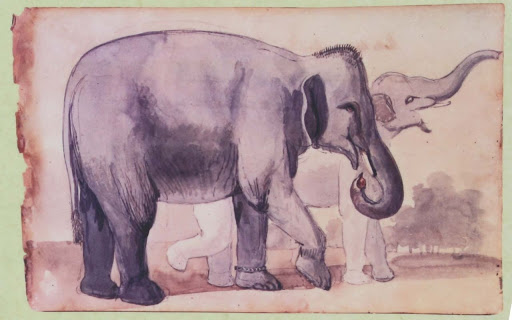 Dowden's Ordinary: The Elephant