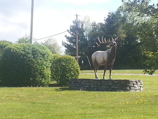 The Elk Statue