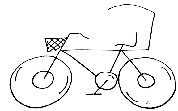 Malaysian Bike with Roof