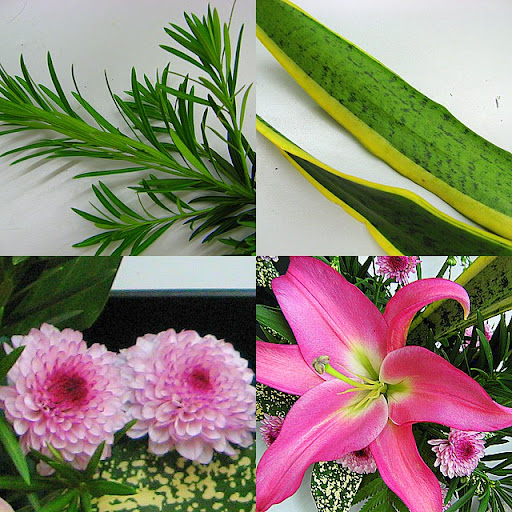 Floral material Floral material