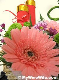 Beautiful Daisy