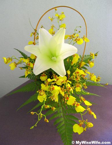 Front view - With Dancing Lady orchids Front view - With Dancing Lady orchids