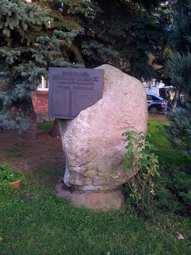 Pomnik Dr G.Domagk