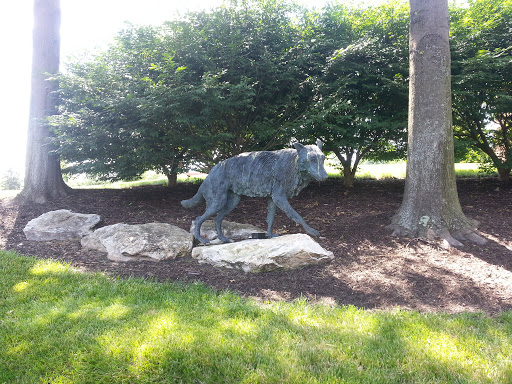 The Wolf At Cambridge Crossing 