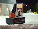 Smart Penguins