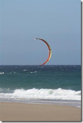 IMG_0071 (Medium)