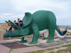 100_4971.JPG