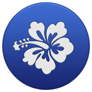 Ukulele Christmas Songs.apk 1.0.1