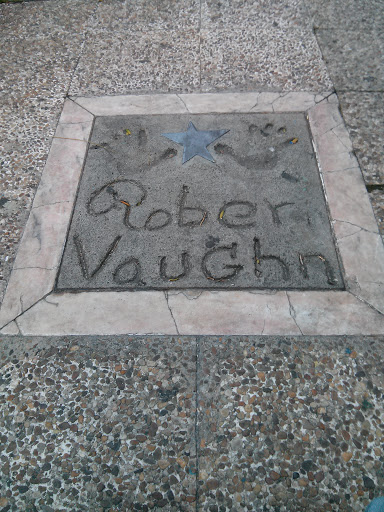 Rober Vaughn Hands 