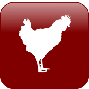 I-WatchBroiler.apk 1.13.0