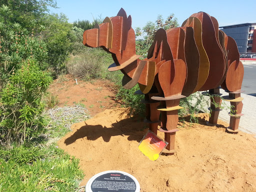 Wits Camel Sculpture 