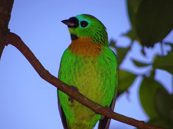 Spotting Image 1
